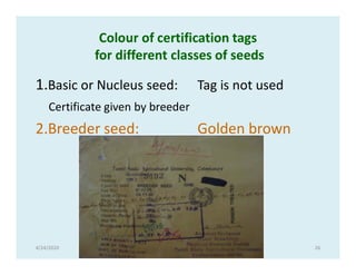Seed and seed technology