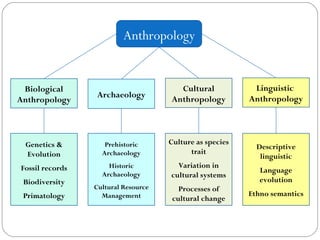 Anthropology Biological Anthropology Linguistic  Anthropology Cultural Anthropology Archaeology Genetics & Evolution Fossil records Biodiversity Primatology Prehistoric Archaeology Historic Archaeology Cultural Resource Management Culture as species trait Variation in cultural systems Processes of cultural change Descriptive linguistic Language evolution Ethno semantics 