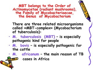 МBТ belongs to the Order of
Actinomycetae (radiant mushrooms),
the Family of Mycobacteriaecae,
the Genus of Mycobacterium
There are three related microorganisms
called «MBT-complex» (Mycobacterium
of tuberculosis):
• М. tuberculosis (МBТ) – is especially
pathogenic kind for people
• М. bovis – is especially pathogenic for
the cattle
• М. africanum – the main reason of TB
cases in Africa
 