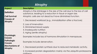 Comprehensive Overview of Cell Pathology, Injury, and Adaptation ...