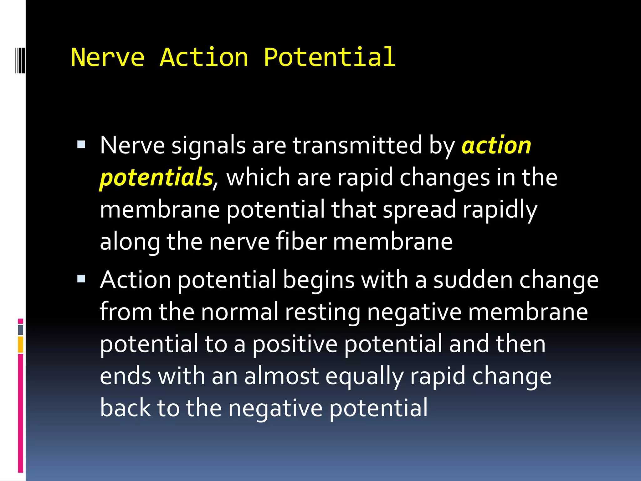 Nerve Action Potential
 Nerve signals are transmitted by action
potentials, which are rapid changes in the
membrane potential that spread rapidly
along the nerve fiber membrane
 Action potential begins with a sudden change
from the normal resting negative membrane
potential to a positive potential and then
ends with an almost equally rapid change
back to the negative potential
 