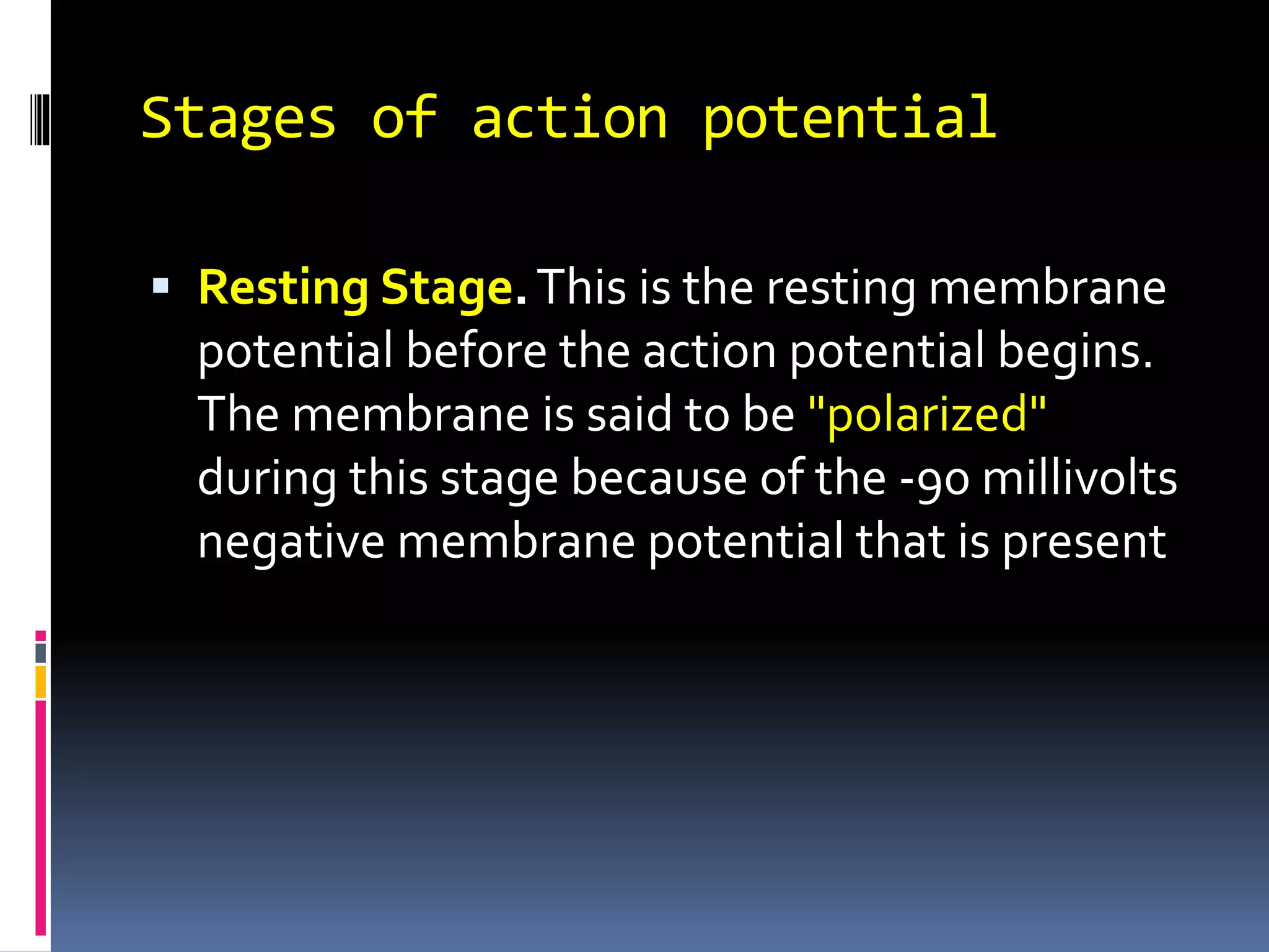 Stages of action potential
 Resting Stage.This is the resting membrane
potential before the action potential begins.
The membrane is said to be "polarized"
during this stage because of the -90 millivolts
negative membrane potential that is present
 