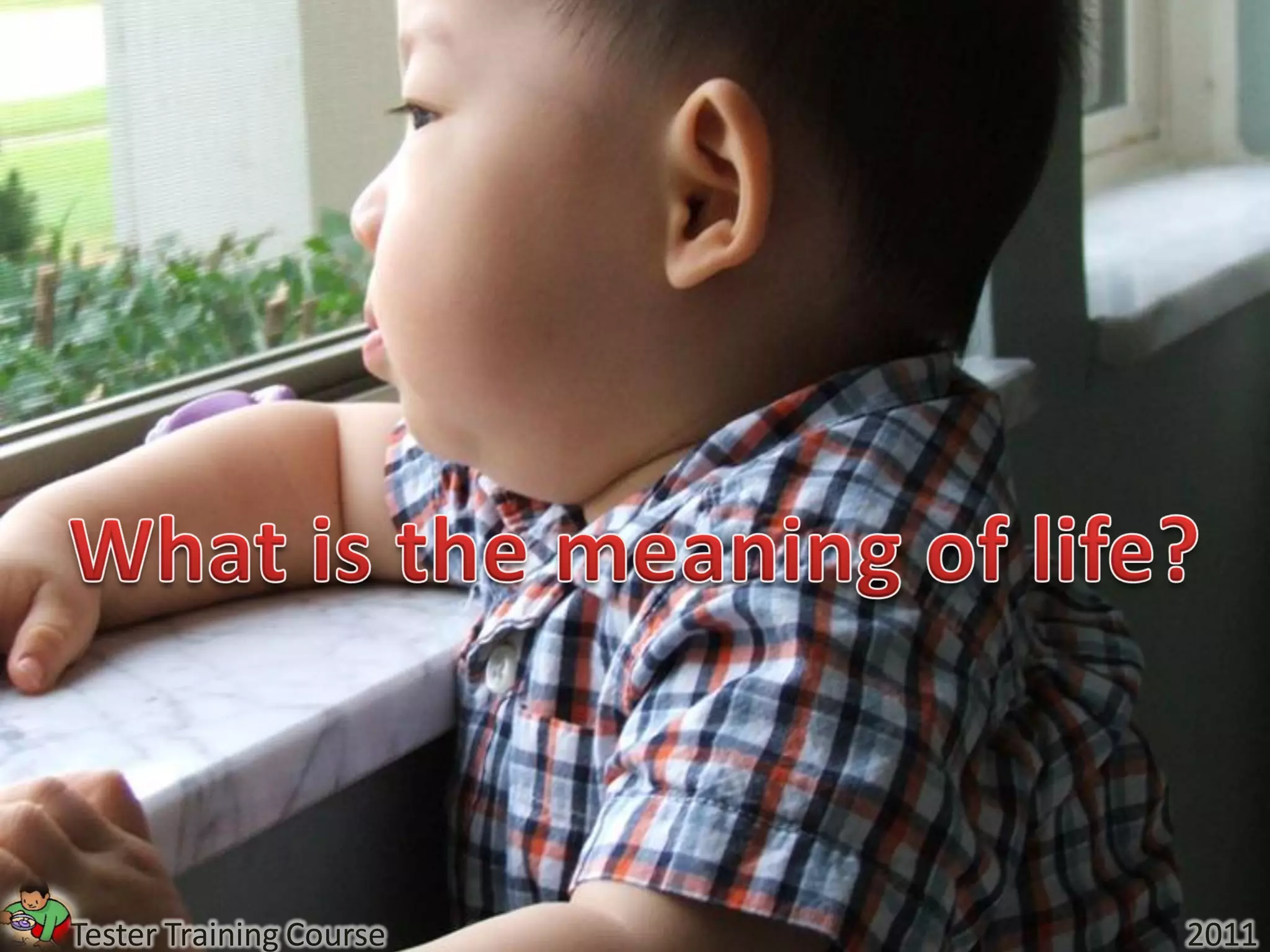 Tester Training Course   2011
 