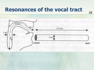 Resonances of the vocal tract                   18

     The human vocal tract as an open tube
  Closed end        Open end




          Length 17.5
     Airin a tube of
          cm.         a given length will tend to
      vibrate at resonance frequency of tube.
 