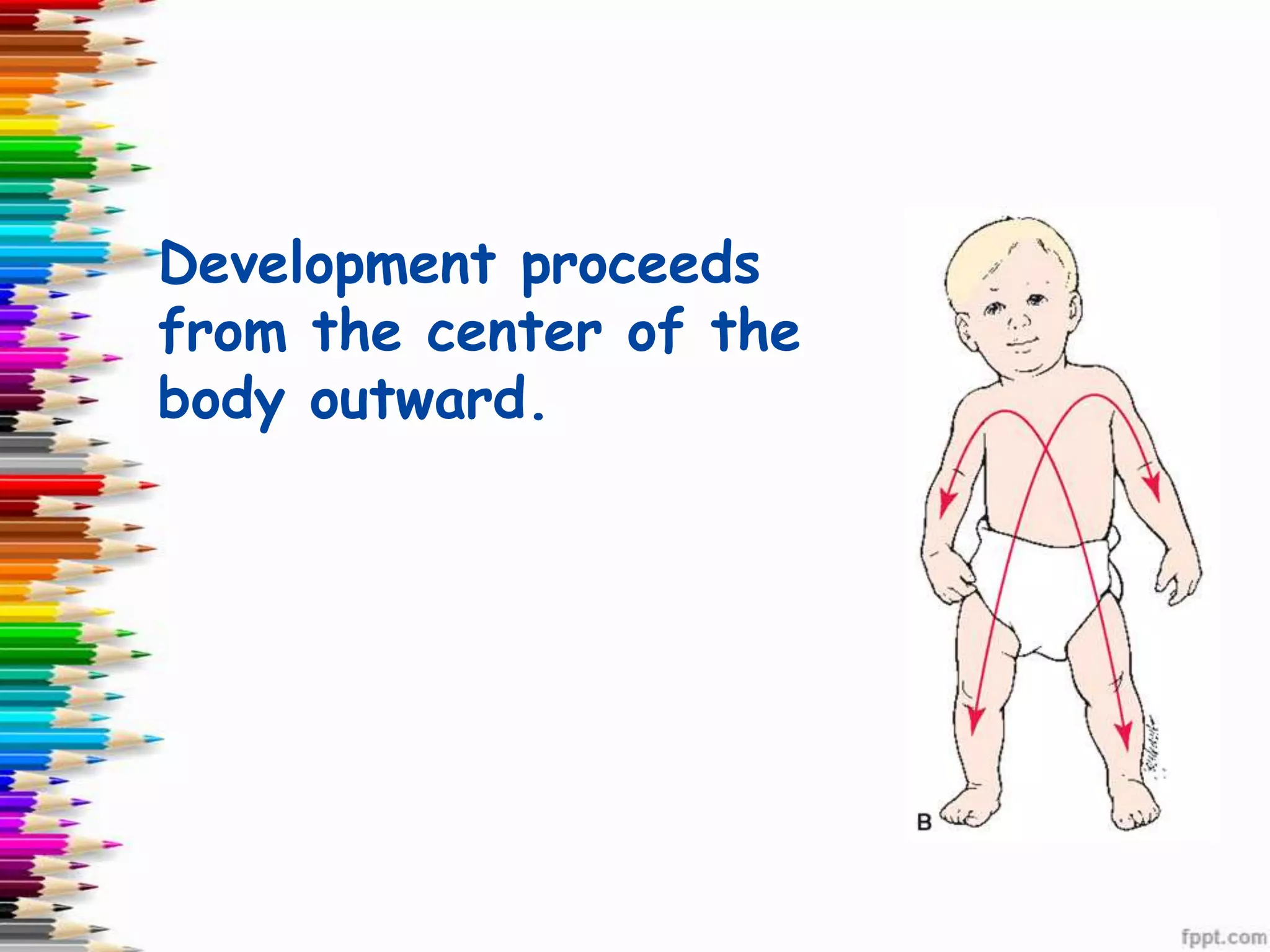Development proceeds
from the center of the
body outward.
 