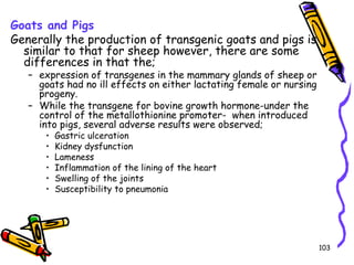 103
Goats and Pigs
Generally the production of transgenic goats and pigs is
similar to that for sheep however, there are some
differences in that the;
– expression of transgenes in the mammary glands of sheep or
goats had no ill effects on either lactating female or nursing
progeny.
– While the transgene for bovine growth hormone-under the
control of the metallothionine promoter- when introduced
into pigs, several adverse results were observed;
• Gastric ulceration
• Kidney dysfunction
• Lameness
• Inflammation of the lining of the heart
• Swelling of the joints
• Susceptibility to pneumonia
 