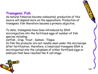 110
Transgenic Fish
As natural fisheries become exhausted, production of this
source will depend more on the aquaculture. Production of
transgenic fish therefore become a primary objective.
To date, transgenes have been introduced by DNA
microinjection into the fertilized eggs of number of fish
species including;
Catfish , Crap, Trout , Salmon , Tilapia
In fish the pronuclei are not readily seen under the microscope
after fertilization, therefore, a linearized transgene DNA is
microinjected into the cytoplasm of either fertilized eggs or
embryos that have reached the 4 cell stage.
 