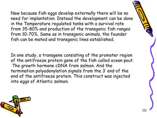 111
Now because fish eggs develop externally there will be no
need for implantation. Instead the development can be done
in the Temperature regulated tanks with a survival rate
from 35-80% and production of the transgenic fish ranges
from 10-70%. Same as in transgenic animals, the founder
fish can be mated and transgenic lines established.
In one study, a transgene consisting of the promoter region
of the antifreeze protein gene of the fish called ocean pout.
The growth hormone cDNA from salmon. And the
termination polyadenylation signals from the 3’ end of the
end of the antifreeze protein. This construct was injected
into eggs of Atlantic salmon.
 
