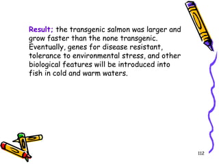 112
Result; the transgenic salmon was larger and
grow faster than the none transgenic.
Eventually, genes for disease resistant,
tolerance to environmental stress, and other
biological features will be introduced into
fish in cold and warm waters.
 