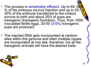 38
• The process is remarkably efficient. Up to 60- 66%
% of the embryos survive injection and up to 25-
30% of the embryos transferred to the oviduct
survive to birth and about 25% of pups are
transgenic (transgenic founders). Thus, from 1000
inoculated fertile eggs, 30-50 (3-5%) transgenic
pups are produced.
• The injected DNA gets incorporated at random
sites within the genome and often multiple copies
are incorporated at one site, therefore, not all the
transgenic animals will have the desired traits.
 