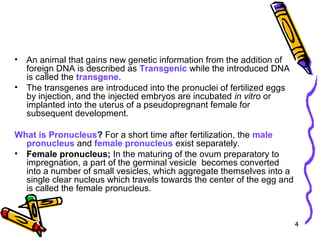 4
• An animal that gains new genetic information from the addition of
foreign DNA is described as Transgenic while the introduced DNA
is called the transgene.
• The transgenes are introduced into the pronuclei of fertilized eggs
by injection, and the injected embryos are incubated in vitro or
implanted into the uterus of a pseudopregnant female for
subsequent development.
What is Pronucleus? For a short time after fertilization, the male
pronucleus and female pronucleus exist separately.
• Female pronucleus; In the maturing of the ovum preparatory to
impregnation, a part of the germinal vesicle becomes converted
into a number of small vesicles, which aggregate themselves into a
single clear nucleus which travels towards the center of the egg and
is called the female pronucleus.
 