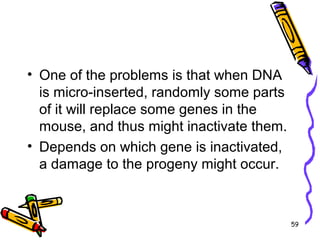 59
• One of the problems is that when DNA
is micro-inserted, randomly some parts
of it will replace some genes in the
mouse, and thus might inactivate them.
• Depends on which gene is inactivated,
a damage to the progeny might occur.
 