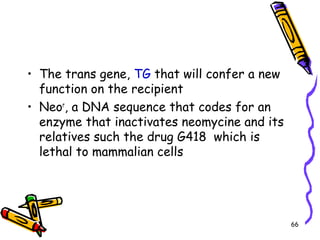 66
• The trans gene, TG that will confer a new
function on the recipient
• Neor
, a DNA sequence that codes for an
enzyme that inactivates neomycine and its
relatives such the drug G418 which is
lethal to mammalian cells
 