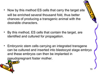 70
• Now by this method ES cells that carry the target site
will be enriched several thousand fold, thus better
chances of producing a transgenic animal with the
desirable characters.
• By this method, ES cells that contain the target, are
identified and cultured for propagation.
• Embryonic stem cells carrying an integrated transgene
can be cultured and inserted into blastocyst stage embryo
and these embryos can then be implanted in
pseudopregnant foster mother.
 