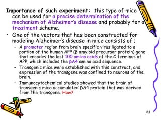 84
Importance of such experiment: this type of mice
can be used for a precise determination of the
mechanism of Alzheimer’s disease and probably for a
treatment scheme.
• One of the vectors that has been constructed for
modeling Alzheimer’s disease in mice consists of ;
– A promoter region from brain specific virus ligated to a
portion of the human APP (β amyloid precursor protein) gene
that encodes the last 100 amino acids at the C terminus of
APP, which includes the βA4 amino acid sequence.
– Transgenic mice were established with this construct, and
expression of the transgene was confined to neurons of the
brain.
– Immunocytochemical studies showed that the brain of
transgenic mice accumulated βA4 protein that was derived
from the transgene. How?
 