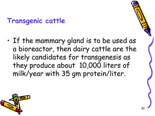 91
Transgenic cattle
• If the mammary gland is to be used as
a bioreactor, then dairy cattle are the
likely candidates for transgenesis as
they produce about 10,000 liters of
milk/year with 35 gm protein/liter.
 
