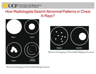 Lec2: Digital Images and Medical Imaging Modalities | PDF