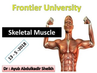 Skeletal Muscle
 