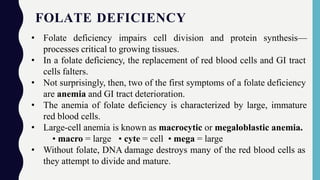 FOLATE DEFICIENCY
• Folate deficiency impairs cell division and protein synthesis—
processes critical to growing tissues.
• In a folate deficiency, the replacement of red blood cells and GI tract
cells falters.
• Not surprisingly, then, two of the first symptoms of a folate deficiency
are anemia and GI tract deterioration.
• The anemia of folate deficiency is characterized by large, immature
red blood cells.
• Large-cell anemia is known as macrocytic or megaloblastic anemia.
• macro = large • cyte = cell • mega = large
• Without folate, DNA damage destroys many of the red blood cells as
they attempt to divide and mature.
 