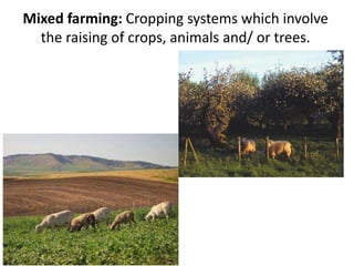 Mixed farming: Cropping systems which involve
the raising of crops, animals and/ or trees.
 