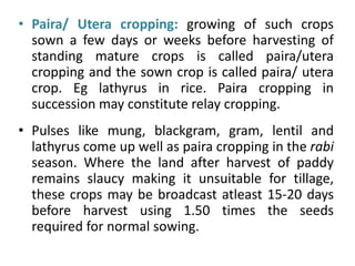 • Paira/ Utera cropping: growing of such crops
sown a few days or weeks before harvesting of
standing mature crops is called paira/utera
cropping and the sown crop is called paira/ utera
crop. Eg lathyrus in rice. Paira cropping in
succession may constitute relay cropping.
• Pulses like mung, blackgram, gram, lentil and
lathyrus come up well as paira cropping in the rabi
season. Where the land after harvest of paddy
remains slaucy making it unsuitable for tillage,
these crops may be broadcast atleast 15-20 days
before harvest using 1.50 times the seeds
required for normal sowing.
 