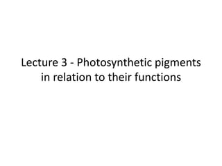 Lecture 3 - Photosynthetic pigments
in relation to their functions
 