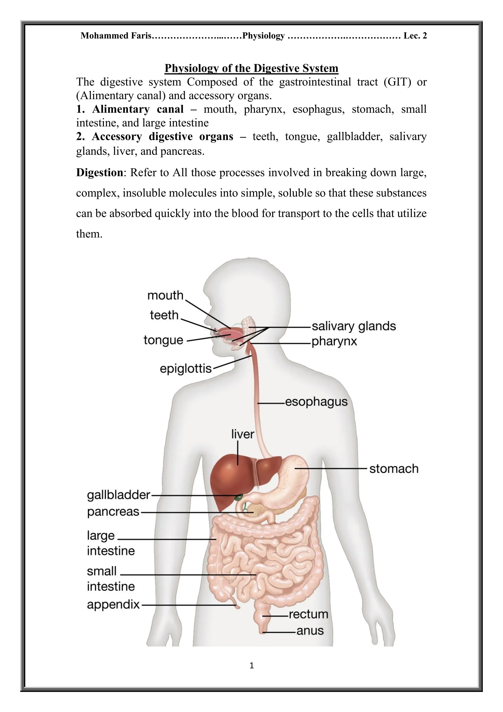 lecture note on physiology of the digestive system | PDF | Digestive ...
