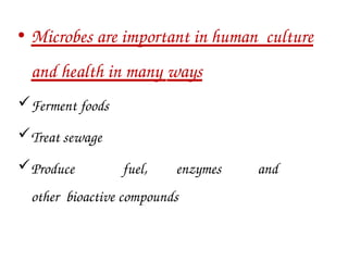 • Microbes are important in human culture
and health in many ways
Ferment foods
Treat sewage
Produce fuel, enzymes and
other bioactive compounds
 