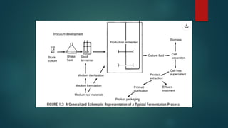 lec2.pdf fermentation in foods , types of fermentation | PDF