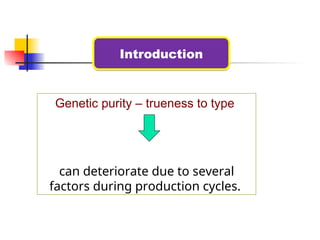 Purity Factor Lec 2.pptadsaaaaaaaaaaaaaaaaaaaaaaaaaaaaaaaaaaaaaaaaassss | PPT