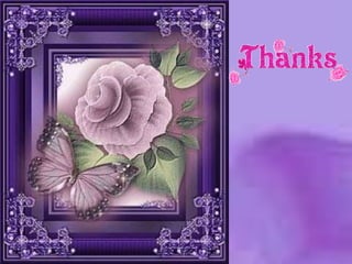 invertebrates : chelicera