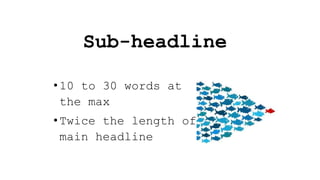 Sub-headline
•10 to 30 words at
the max
•Twice the length of
main headline
 
