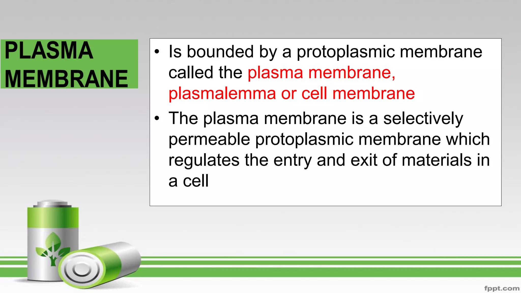 • Is bounded by a protoplasmic membrane
called the plasma membrane,
plasmalemma or cell membrane
• The plasma membrane is a selectively
permeable protoplasmic membrane which
regulates the entry and exit of materials in
a cell
 