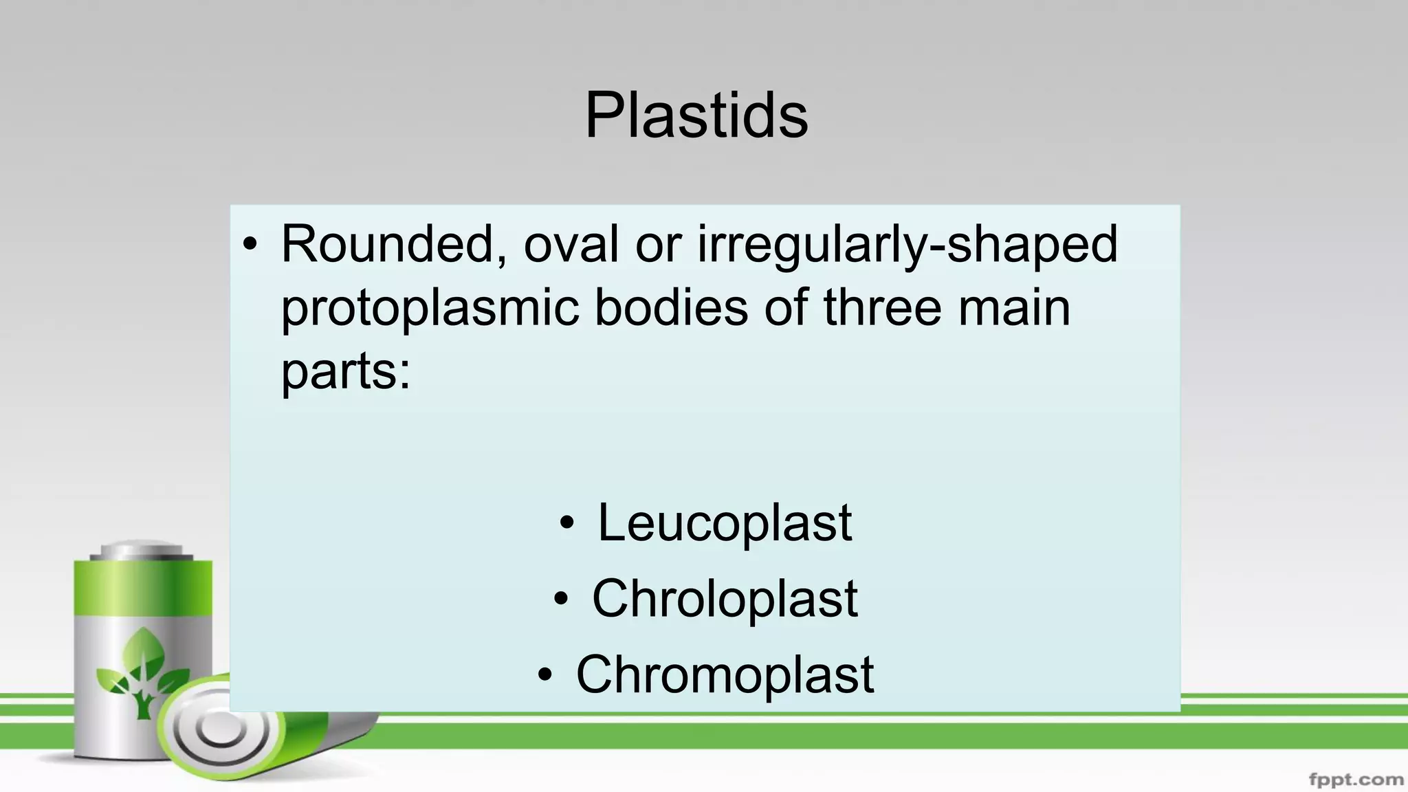Plastids
• Rounded, oval or irregularly-shaped
protoplasmic bodies of three main
parts:
• Leucoplast
• Chroloplast
• Chromoplast
 