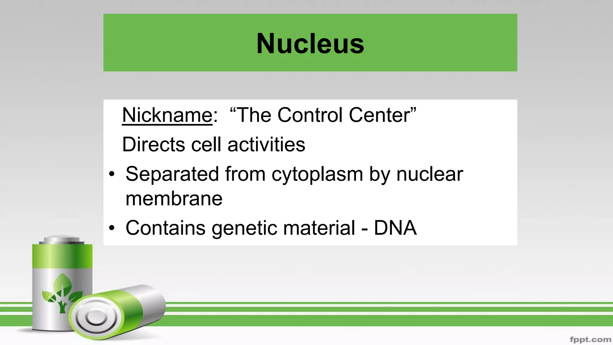 Nucleus
– Nickname: “The Control Center”
– Directs cell activities
• Separated from cytoplasm by nuclear
membrane
• Contains genetic material - DNA
 