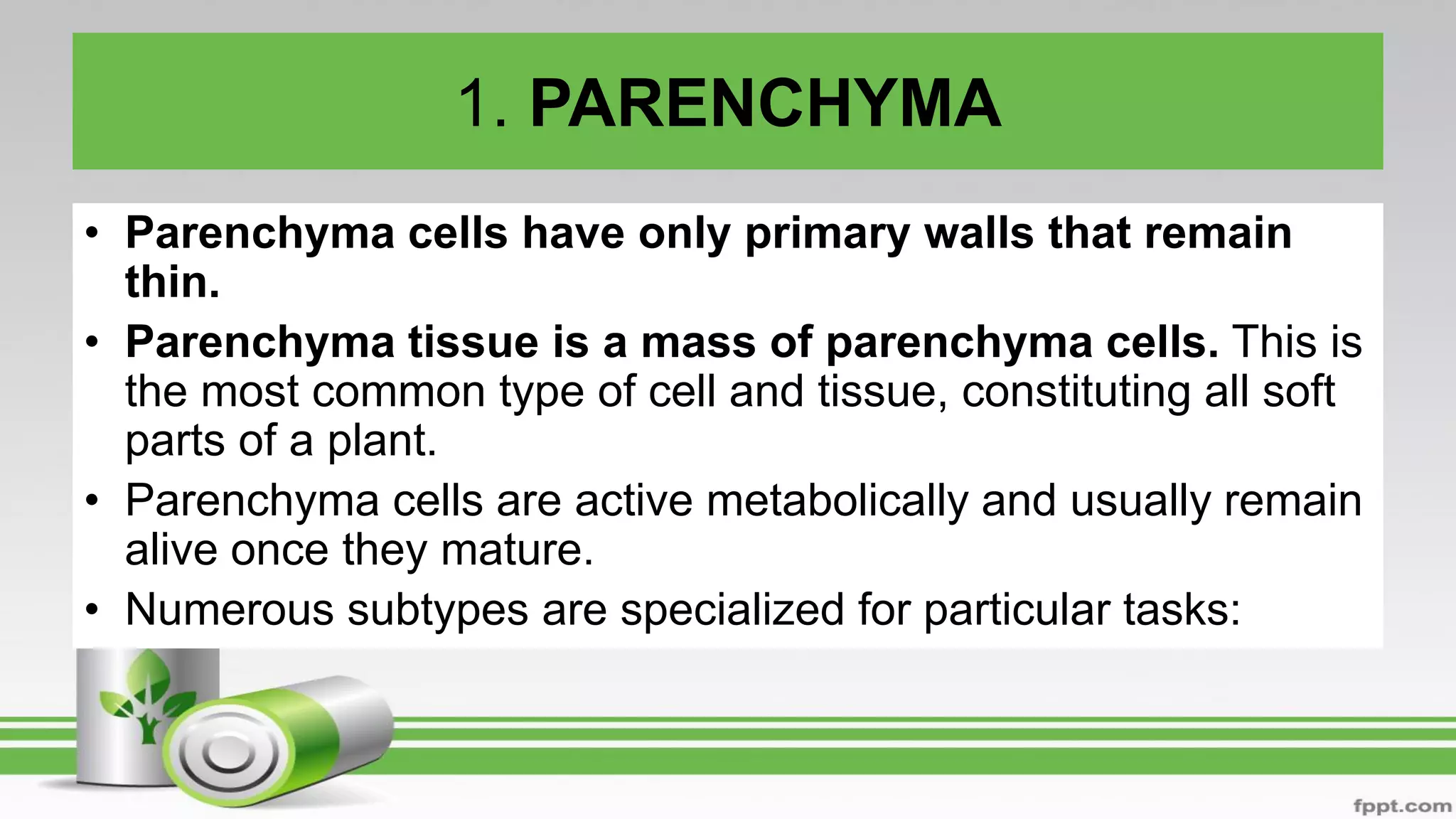 1. PARENCHYMA
• Parenchyma cells have only primary walls that remain
thin.
• Parenchyma tissue is a mass of parenchyma cells. This is
the most common type of cell and tissue, constituting all soft
parts of a plant.
• Parenchyma cells are active metabolically and usually remain
alive once they mature.
• Numerous subtypes are specialized for particular tasks:
 