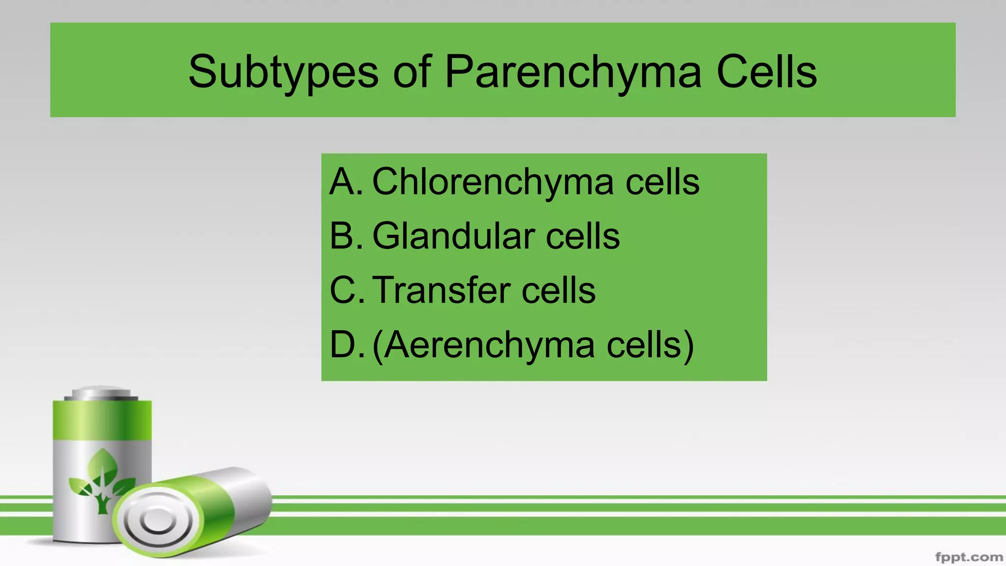 Subtypes of Parenchyma Cells
A. Chlorenchyma cells
B. Glandular cells
C.Transfer cells
D.(Aerenchyma cells)
 