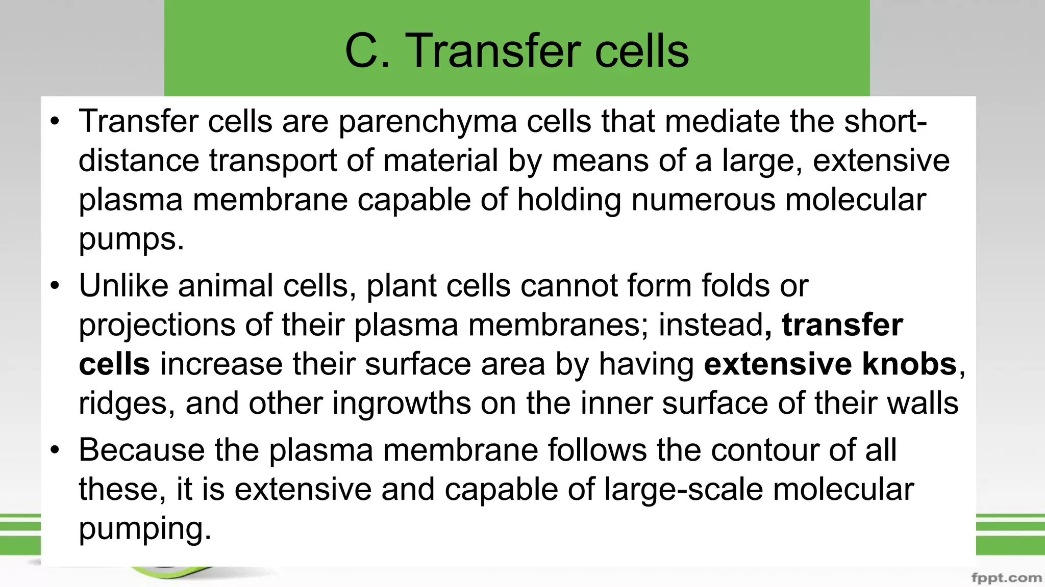 C. Transfer cells
• Transfer cells are parenchyma cells that mediate the short-
distance transport of material by means of a large, extensive
plasma membrane capable of holding numerous molecular
pumps.
• Unlike animal cells, plant cells cannot form folds or
projections of their plasma membranes; instead, transfer
cells increase their surface area by having extensive knobs,
ridges, and other ingrowths on the inner surface of their walls
• Because the plasma membrane follows the contour of all
these, it is extensive and capable of large-scale molecular
pumping.
 