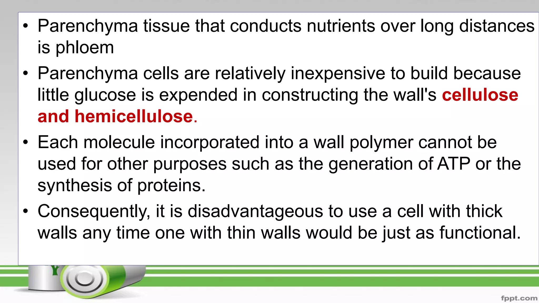 • Parenchyma tissue that conducts nutrients over long distances
is phloem
• Parenchyma cells are relatively inexpensive to build because
little glucose is expended in constructing the wall's cellulose
and hemicellulose.
• Each molecule incorporated into a wall polymer cannot be
used for other purposes such as the generation of ATP or the
synthesis of proteins.
• Consequently, it is disadvantageous to use a cell with thick
walls any time one with thin walls would be just as functional.
 
