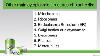 Other main cytoplasmic structures of plant cells:
1. Mitochondria
2. Ribosomes
3. Endoplasmic Reticulum (ER)
4. Golgi bodies or dictyosomes
5. Lysosomes
6. Plastids
7. Microtubules
 