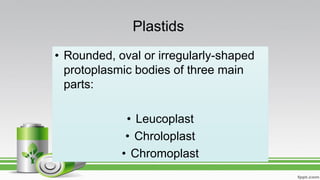 Plastids
• Rounded, oval or irregularly-shaped
protoplasmic bodies of three main
parts:
• Leucoplast
• Chroloplast
• Chromoplast
 