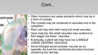 Cont...
• Other inclusions are waste products which may be in
a form of crystals
• The crystals may be contained in vacoules and in the
cytoplasm
• Plant cell may start with many but small vacuoles
• Upon maturity, the small vacuoles may coalesce to
form bigger but fewer vacuoles
• Eventually, a plant cell may have but a SINGLE
LARGE CENTRAL VACUOLE
• Some biologist would consider vacuole as an
oganelle. As such the membrane-bounded structure
containing the cell sap.
 