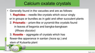 Calcium oxalate crystals
• Generally found in the vacuoles and are as follows:
1. Raphides – needle like crystals which occur singly
or in groups or bundles as in gabi and other succulent plants
2. Prismatic – prism-like or pyramid-like crystals found
in leaves of begonia and bangka-bangkaan
(Rhoeo discolor)
3. Rosette – aggregate of crystals which has
flower-like apperance in santan (Ixora sp.) and
stem of Kutsarita plant
 