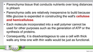 • Parenchyma tissue that conducts nutrients over long distances
is phloem
• Parenchyma cells are relatively inexpensive to build because
little glucose is expended in constructing the wall's cellulose
and hemicellulose.
• Each molecule incorporated into a wall polymer cannot be
used for other purposes such as the generation of ATP or the
synthesis of proteins.
• Consequently, it is disadvantageous to use a cell with thick
walls any time one with thin walls would be just as functional.
 