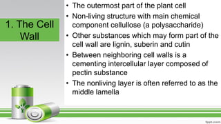 1. The Cell
Wall
• The outermost part of the plant cell
• Non-living structure with main chemical
component cellullose (a polysaccharide)
• Other substances which may form part of the
cell wall are lignin, suberin and cutin
• Between neighboring cell walls is a
cementing intercellular layer composed of
pectin substance
• The nonliving layer is often referred to as the
middle lamella
 