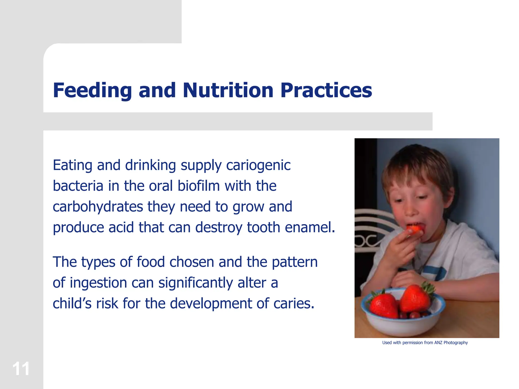 11
Feeding and Nutrition Practices
Eating and drinking supply cariogenic
bacteria in the oral biofilm with the
carbohydrates they need to grow and
produce acid that can destroy tooth enamel.
The types of food chosen and the pattern
of ingestion can significantly alter a
child’s risk for the development of caries.
Used with permission from ANZ Photography
 