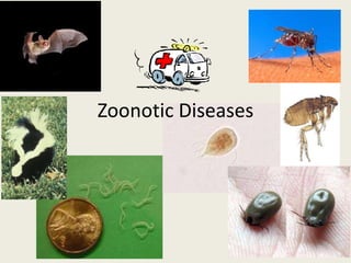 Zoonotic Diseases
 