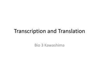 Transcription and Translation Bio 3 Kawashima 