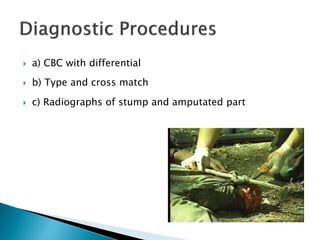 Dcapblstic Lec 24 Orthopedic Emergency trauma fracture dislocation sprain strain.pdf