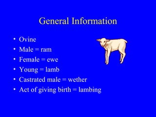 Lec 25 Small Ruminants | PPT